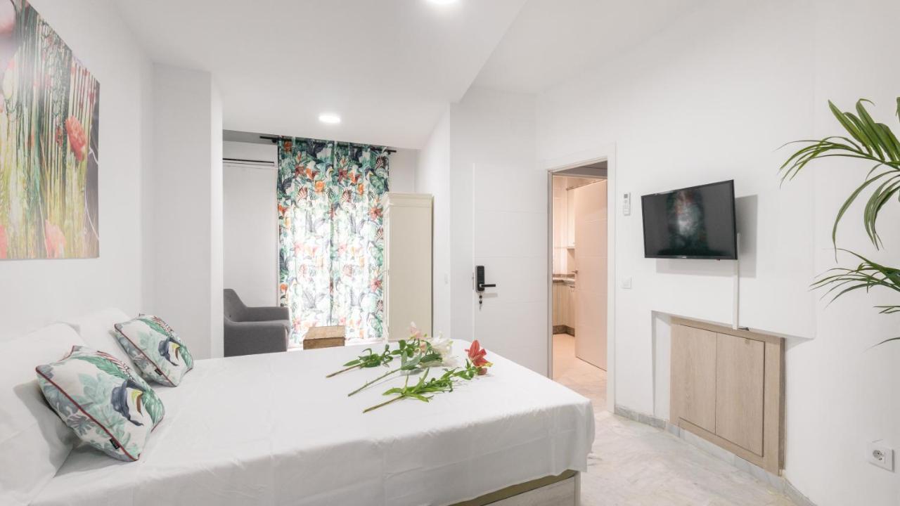 Guesthouse Room & Studio Seville La Flamenka Dış mekan fotoğraf